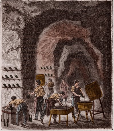 Pezsgőgyártás - Fabrication du Champagne - Metszet a „Mindenki számára elérhető tudományok – fizika és kémia” címszó alatt, Alexis Clerc - 19. század vége - Magángyűjtemény alkotó: French School