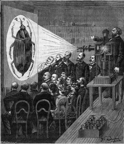 Vetítési tapasztalat az elektromos fotomikroszkóp használatával (Jules Duboscq vetítőlámpák) - Gravírozás „Mindenki számára elérhető tudományokba” - Népszerű fizika és kémia, Alexis Clerc - 19. század vége - Magángyűjtemény alkotó: French School