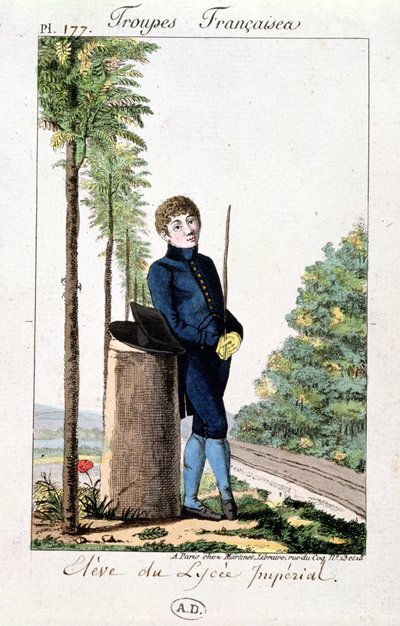 A párizsi Imperial Lycee tanítványa egy fának dőlve, Troupes Francaises 177-es táblája, 1805-1010 körül alkotó: French School