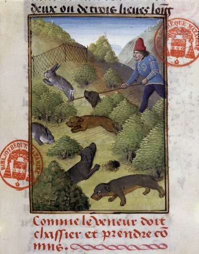 Nyúlvadászat – Gaston Phoebus, Foix grófja, Béarn ura „” vadászkönyvében” alkotó: French School