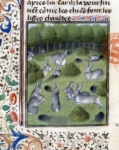 Nyulak – Gaston Phoebus, Foix grófja, Béarn ura „” vadászkönyvében” alkotó: French School