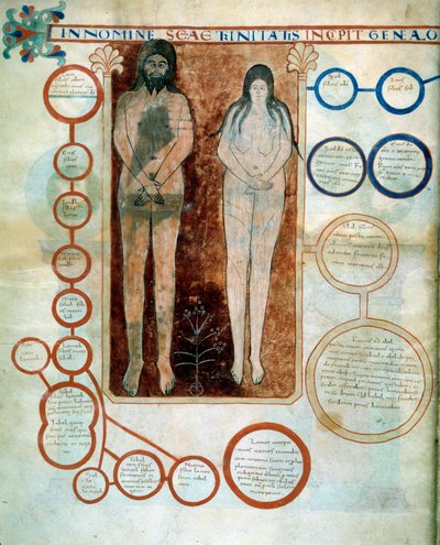 Ádám és Éva ábrázolása, a piros medálok Káin vonalát képviselik, amelyet a Beatus de Liebana szerzetes által 775-ben írt „Az apokalipszis Szent János szerint” című művéhez illusztráló miniatúra pusztított el. alkotó: French School