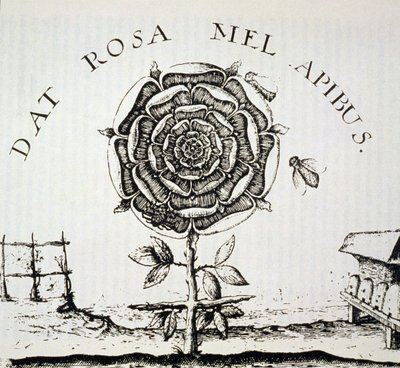 Rózsakeresztes allegória, Johann Theodore de Bry (1598 körül) metszetének másolata, a 19. század végén megjelent mágiatörténetben használt alkotó: French School