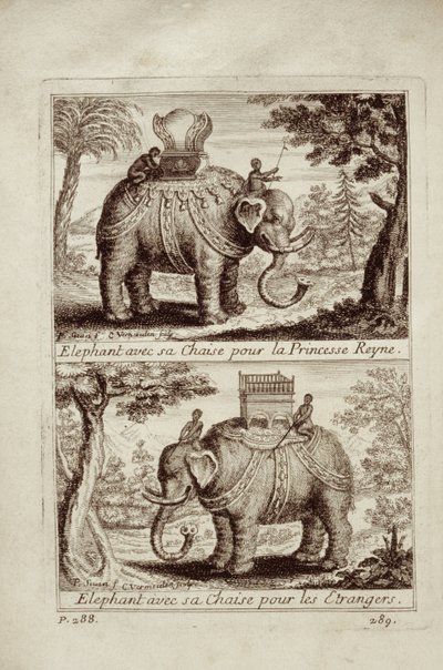 Királyi elefántok, Guy Tachard Voyage du Siam des Peres Jesuites-ból, 1688 alkotó: French School
