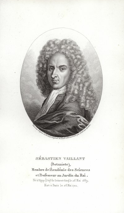 Sebastien Vaillant alkotó: French School