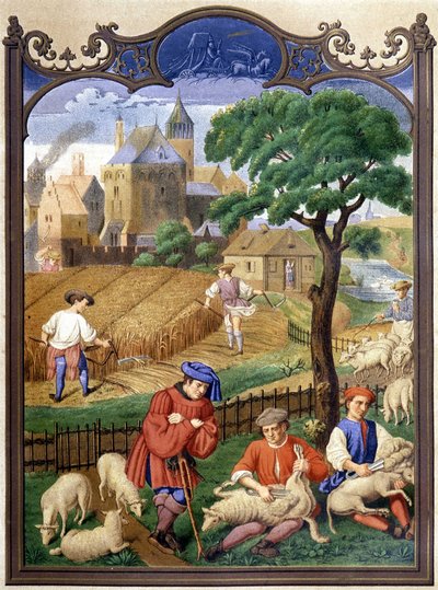 Birkavágás és betakarítás - miniatűr, középkor. alkotó: French School