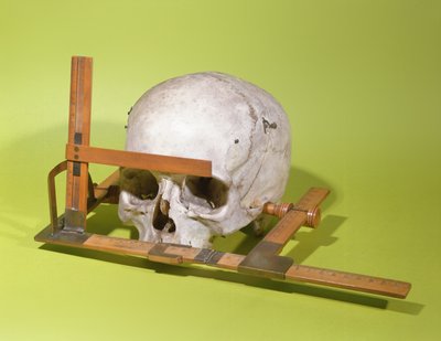 Koponya arcgoniométerben, amelyet Paul Broca (1824-88) épített (fa és réz) alkotó: French School