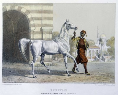 Stalon arab, Bairaktar alkotó: French School