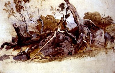 Study of Trees, 1825 körül (olaj, fedélzeten) alkotó: French School