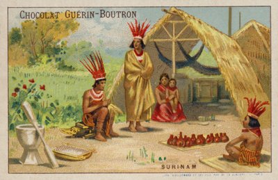 Surinam (chromolitho) alkotó: French School