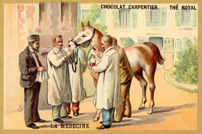 Vérvétel lóból (chromolitho) alkotó: French School
