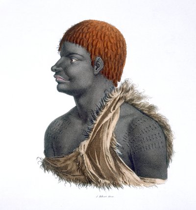 Tasmán bennszülött, 1812 alkotó: French School