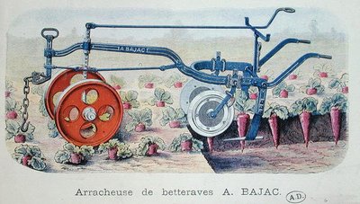 Bajac gép cékla emelésére, 1900 körül (színes gravírozás) alkotó: French School