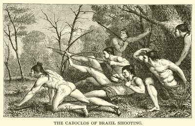The Caboclos of Brazil Shooting (metszet) alkotó: French School