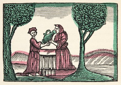A tündér a történetekből vagy az elmúlt idők meséiből, amelyet Mother Goose, Erkölcsökkel, M Perrault, pub. 1925 (kézzel színezett fatömbnyomat) alkotó: French School