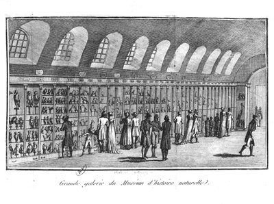 A párizsi Természettudományi Múzeum Nagy Galériája alkotó: French School