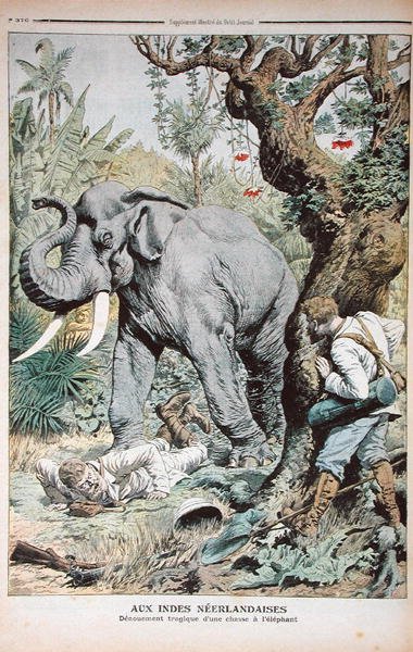Egy indiai elefántvadászat tragikus vége, illusztráció a Le Petit Journal 1906. november 25-i számából. alkotó: French School