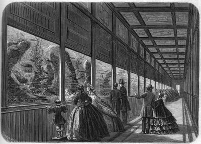 A párizsi akklimatizációs kert akváriuma 1863-ban. alkotó: French School