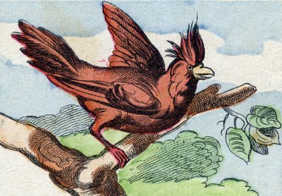 A bíboros. Metszet "Buffon Alphabet des Oiseaux n 2". 3. Serie N 2. Epinal képalkotása, Epinal, 19. század vége. 16 oldal. Mérete: 28x21 cm alkotó: French School