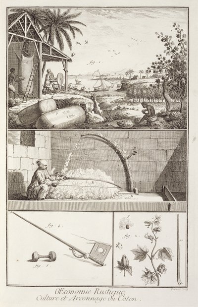 A gyapot termesztése, Denis Diderot (1713-84) Encyclopediájából, A. Provost (fl.1834-55) metszete, 1760 körül alkotó: French School