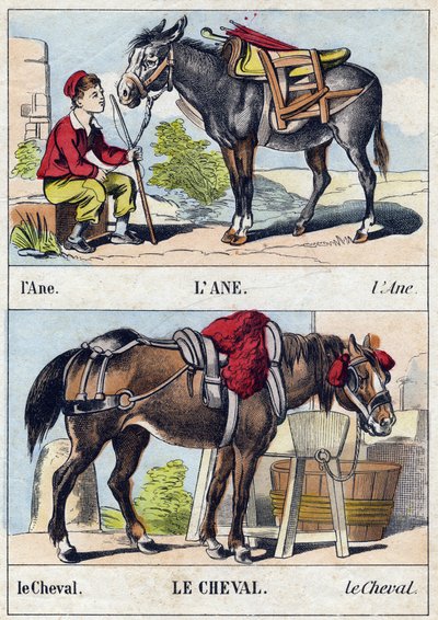 A szamár és a ló. Metszet „Buffon Alphabet des Animaux". 3. sorozat N 1. Epinal képalkotása, Epinal, 19. század vége. 16 oldal. Mérete: 28x21 cm alkotó: French School