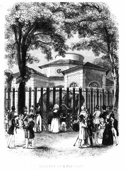 Az elefánt rotunda a párizsi növények kertjéből - metszet alkotó: French School
