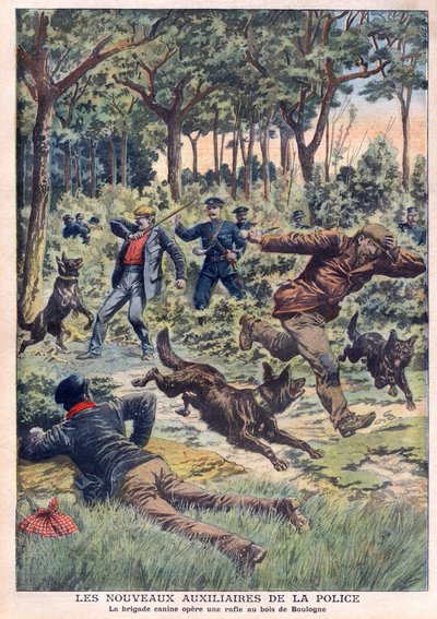 Az új rendőri segédcsapatok: a kutyás brigád körözést végez a Bois de Boulogne-ban, illusztráció a július 28-i „Le Petit Journal”-ból alkotó: French School