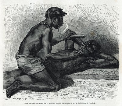 A fogak mérete az Okandában, D. Maillard rajza, Alfred Marche 1875-1877-es gaboni utazásának és az Ogoue folyónak a történetének illusztrálására. Gravírozás a Le tour du monde-ban alkotó: French School