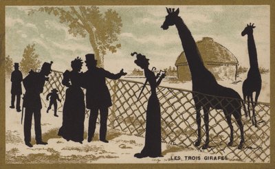 A három zsiráf (chromolitho) alkotó: French School
