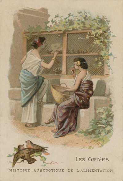 A rigók alkotó: French School