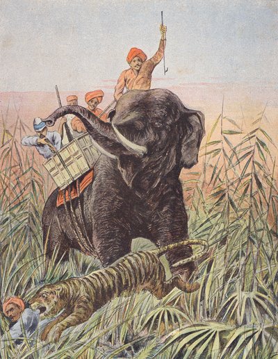 Tigrisvadászat, India (színes litográfia) alkotó: French School