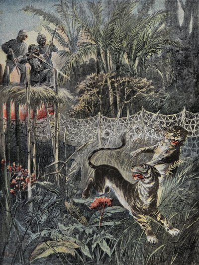 Tigrisvadászat a dzsungelben Indiában: a sárvédők a háló mögött, a vadászok pedig biztonságban vannak a kilátón. Metszet a „” Le Pelerin”-ben, 1899.02.05. Selva Coll. alkotó: French School