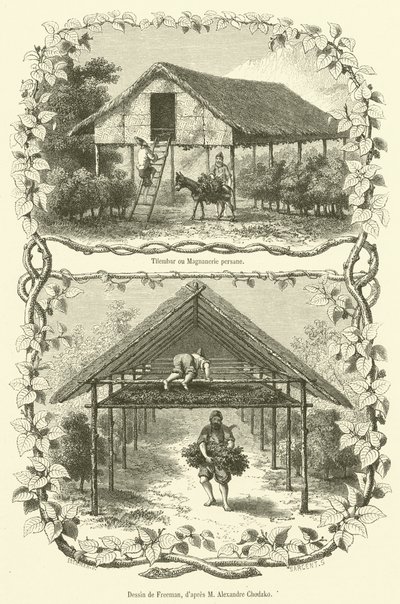 Tilembar vagy Magnanerie perzsa (metszet) alkotó: French School