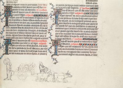 Dolgok szállítása ökör vontatta kocsin, befejezetlen miniatűr Jean de Sy Bibliájából, 1355 körül alkotó: French School