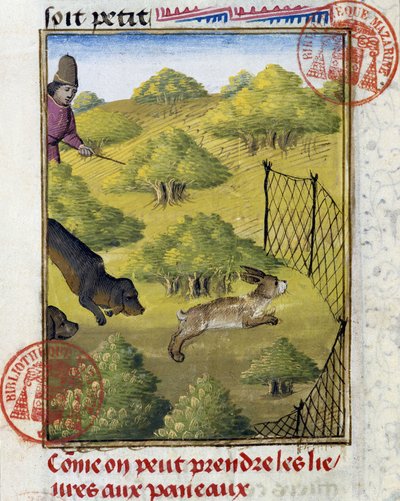 Csapda nyulaknak és vadászkutyáknak – Gaston Phoebus, Foix grófja, Medve ura „” Vadászkönyvében” alkotó: French School