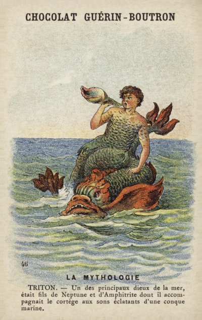 Triton alkotó: French School