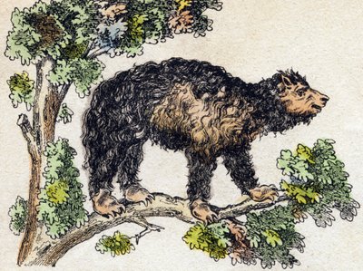 Unau (lusta). Metszet: „Alphabet des animaux sauvages””. 9. sorozat. Epinal, Pellerin, nyomdász-kiadó képei, 1870 körül. Metszetek fára, stencilezett. 16 oldal. Mérete: 20 x 15 cm. Magángyűjtemény alkotó: French School