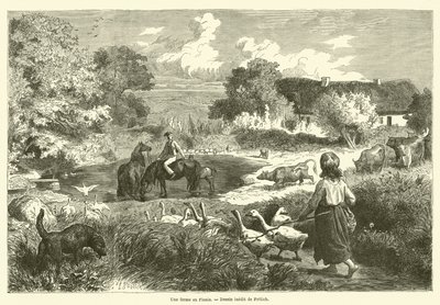 Egy farm Funenben (metszet) alkotó: French School