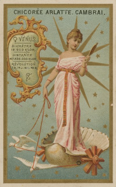 Vénusz alkotó: French School