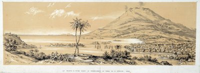 Kilátás a Pointe a Pitre-re (Pointe-a-Pitre) a földrengés előtt. Metszet 1843-ból. Chartres, Szépművészeti Múzeum alkotó: French School