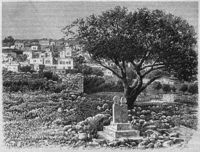 Kilátás Safedre, Szíriából ma. Utazások Föníciában, Libanonban és Júdeában. Louis Charles Emile Lortet 1875-1880, 1884 (bw metszet) alkotó: French School