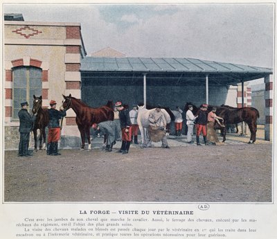 A hadsereg állatorvosának látogatása a laktanyában, 1897 (színes litó, színes fénykép után) alkotó: French School
