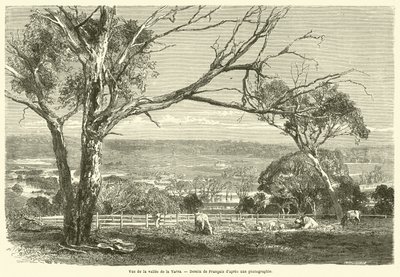 Kilátás a Yarra-völgyre (metszet) alkotó: French School