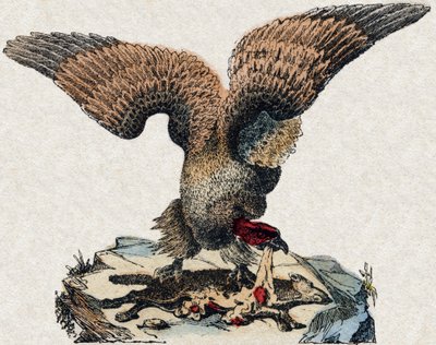 Keselyű. Metszet: „Alphabet des animaux sauvages””. 9. sorozat. Epinal, Pellerin, nyomdász-kiadó képei, 1870 körül. Metszetek fára, stencilezett. 16 oldal. Mérete: 20 x 15 cm. Magángyűjtemény alkotó: French School