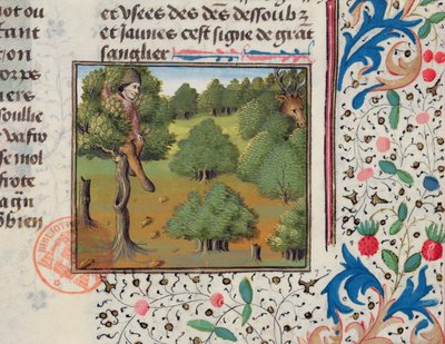 Egy fában rejtőző szarvasra várva, a Livre de la Chasse-ból, Gaston Phebus alkotó: French School