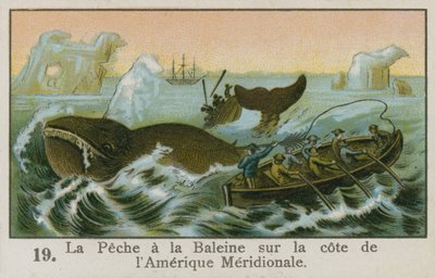 Bálnavadászat Dél-Amerika partjainál alkotó: French School
