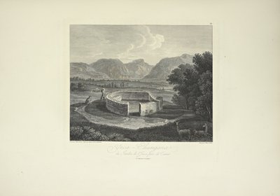 Ynca-Chungana, a Canar melletti inkák kertjéből, Gmelin rajza, Morel metszet, illusztráció Alexander von Humboldt és Aime Bonpland „Kordillerák és Amerika őslakosainak emlékművei” című művéből alkotó: Friedrich Alexander Baron von (after) Humboldt