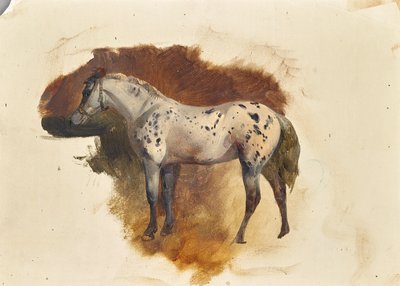 Foltos penészgomba alkotó: Friedrich August Mathias Gauermann