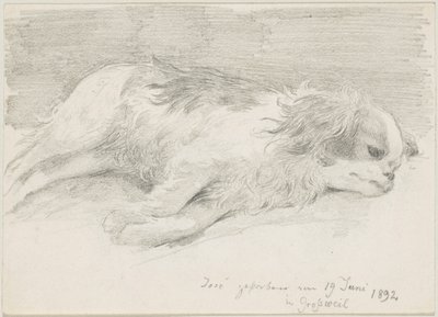 kutyatanulmányok alkotó: Friedrich August von Kaulbach