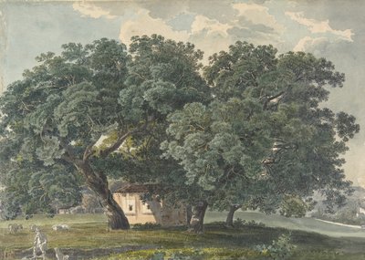 Olasz táj fákkal recto, 1815-21. alkotó: Friedrich Salathé